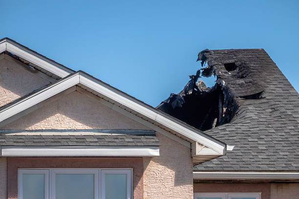 Top rated local Odor Removal specialists in Tolleson, AZ